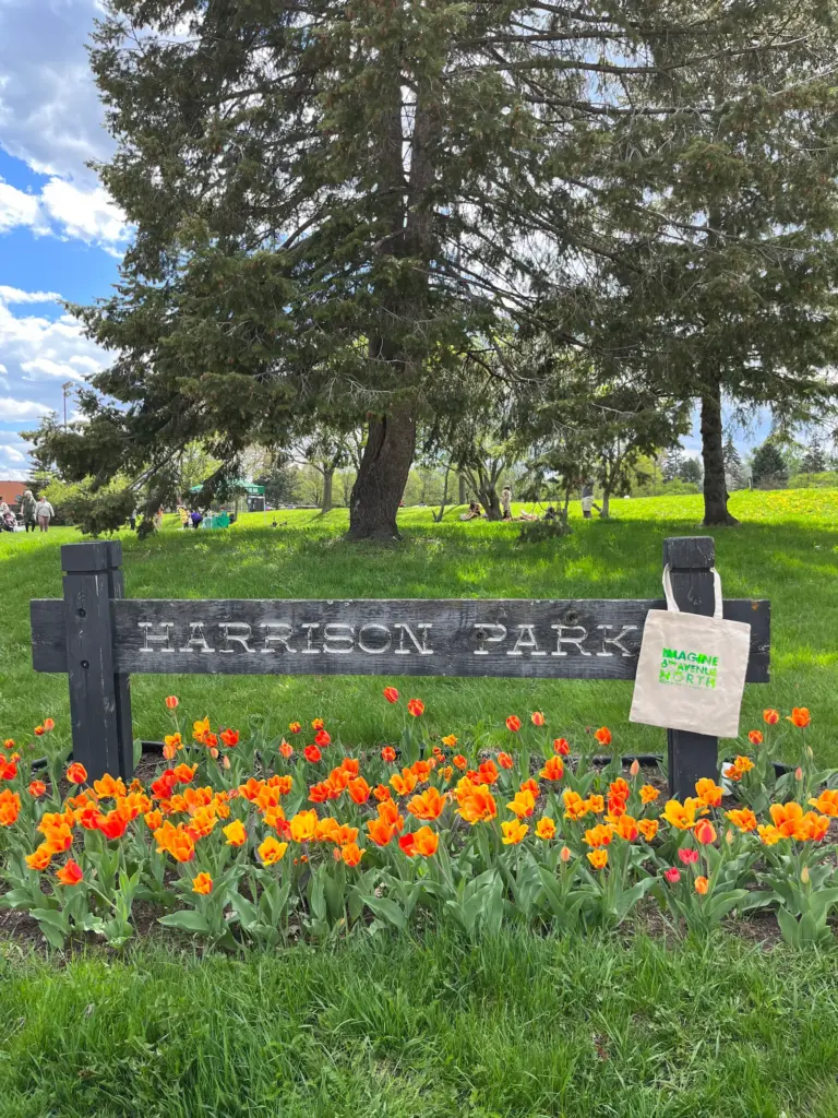 The wooden Harrison Park sign, surrounded by orange tulips and green grass. Taken at the Imagine 6th Avenue North 2022 event.